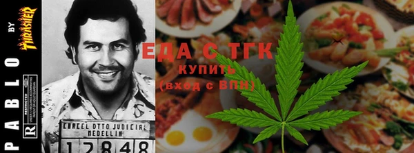 соль ск Дмитриев
