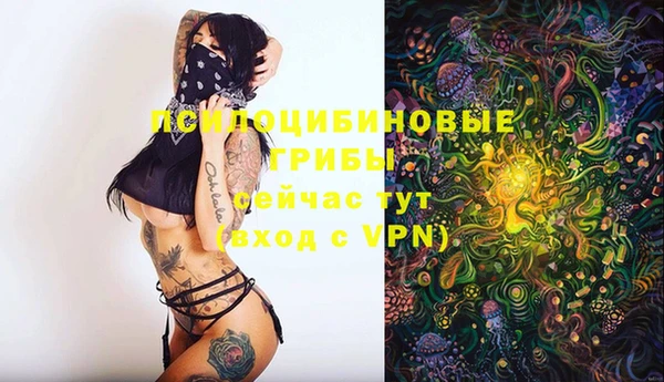 MDMA Горнозаводск