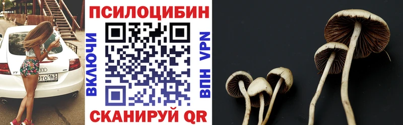 Галлюциногенные грибы MAGIC MUSHROOMS  Новозыбков 